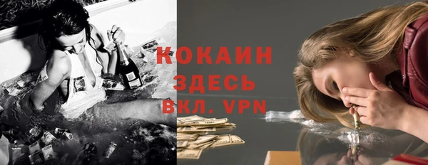 молекула духа Алексеевка