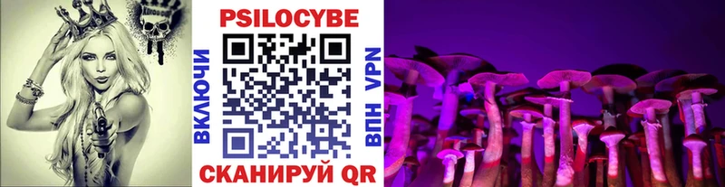 Галлюциногенные грибы Psilocybe Краснозаводск